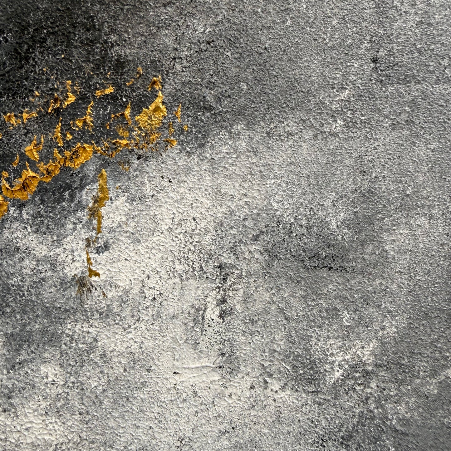 Tears of Gold (TG1)